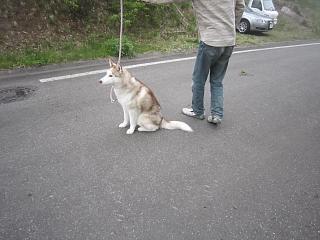 IMG_0965.JPG