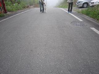 IMG_0973.JPG