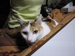 IMG_1028.JPG