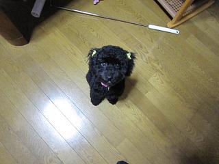 IMG_1726.JPG