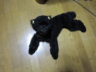 IMG_1728.JPG