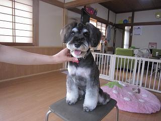 IMG_4393.JPG