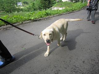 IMG_4576.JPG