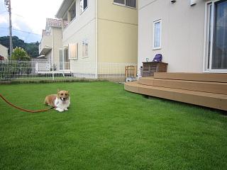 IMG_4894.JPG