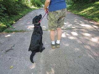 IMG_4989.JPG