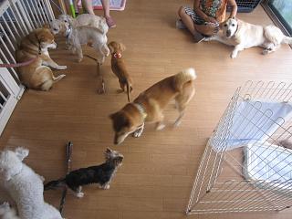 IMG_5420.JPG