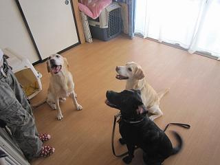 IMG_5485.JPG