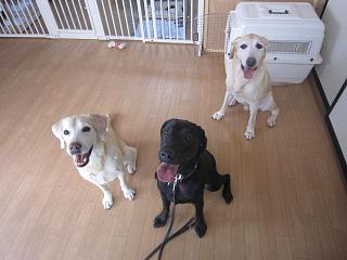 IMG_5489.JPG